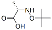 L-Alanine, N-(1,1-dimethylethoxy)- (9CI) 结构式