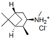 (+)-3-PINANEMETHYLAMINE HYDROCHLORIDE 结构式