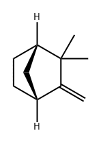 2,2-二甲基-3-亚甲基二环[2.2.1]庚烷 结构式
