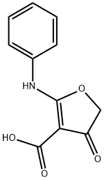 4-氧代-2-(苯基氨基)-4,5-二氢呋喃-3-羧酸 结构式