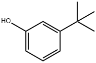 3-叔丁基苯酚 结构式