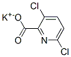 potassium 3,6-dichloropyridine-2-carboxylate 结构式