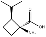 Cyclobutanecarboxylic acid, 1-amino-2-(1-methylethyl)-, (1S,2S)- (9CI) 结构式