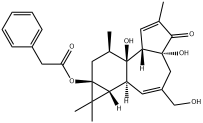 12-DEOXYPHORBOL 13-PHENYLACETATE 结构式