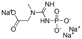 sodium N-[imino(phosphonoamino)methyl]-N-methylaminoacetate 结构式