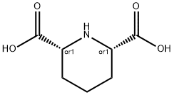 (2R,6S)-哌啶-2,6-二羧酸 结构式