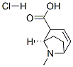 (1R)-8-甲基-8-氮杂双环[3.2.1]辛-3-烯-2-羧酸盐酸盐 结构式