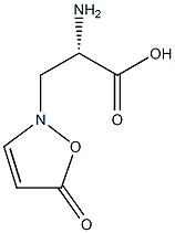 β-(5-Oxo-3-isoxazolin-2-yl)-L-alanine 结构式