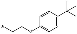 1-(2-溴乙氧基)-4-(叔丁基)苯 结构式