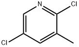 2,5-二氯-3-甲基吡啶 结构式