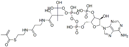 [(2R,3R,4R,5R)-5-(6-aminopurin-9-yl)-4-hydroxy-2-[[hydroxy-[hydroxy-[3-hydroxy-2,2-dimethyl-3-[2-[2-(2-methylprop-2-enoylsulfanyl)ethylcarbamoyl]ethylcarbamoyl]propoxy]phosphoryl]oxy-phosphoryl]oxymethyl]oxolan-3-yl]oxyphosphonic acid 结构式