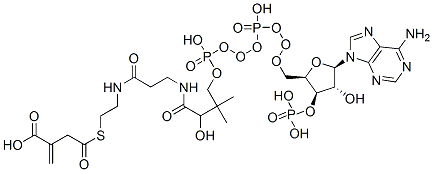 2-[2-[3-[[4-[[[(2R,3R,4R,5R)-5-(6-aminopurin-9-yl)-4-hydroxy-3-phosphonooxy-oxolan-2-yl]methoxy-hydroxy-phosphoryl]oxy-hydroxy-phosphoryl]oxy-2-hydroxy-3,3-dimethyl-butanoyl]amino]propanoylamino]ethylsulfanylcarbonylmethyl]prop-2-enoic acid 结构式