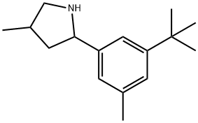 Pyrrolidine, 2-[3-(1,1-dimethylethyl)-5-methylphenyl]-4-methyl- (9CI) 结构式