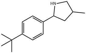 Pyrrolidine, 2-[4-(1,1-dimethylethyl)phenyl]-4-methyl- (9CI) 结构式