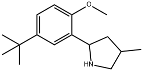 Pyrrolidine, 2-[5-(1,1-dimethylethyl)-2-methoxyphenyl]-4-methyl- (9CI) 结构式