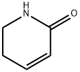 5,6-二氢-2(1H)-吡啶酮 结构式