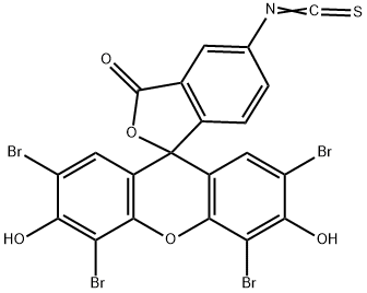 Eosin-5-isothiocyanate