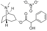 N-methylhomatropinium nitrate 结构式