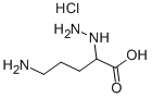 5-AMINO-2-HYDRAZINOPENTANOIC ACID HYDROCHLORIDE 结构式