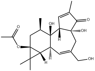 13-O-乙酰基-12-脱氧佛波醇 结构式