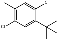 4-tert-Butyl-2,5-dichlorotoluene 结构式