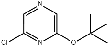 2-CHLORO-6-TERT-BUTYL PYRAZINE 结构式