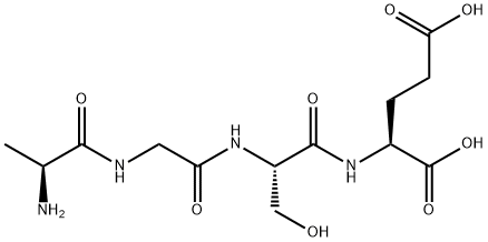 ALA-GLY-SER-GLU