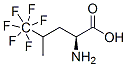 Dl-5,5,5,5,5,5-Hexafluoroleucine 结构式
