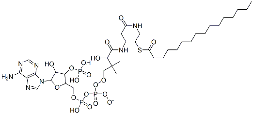 [5-(6-aminopurin-9-yl)-4-hydroxy-3-phosphonooxyoxolan-2-yl]methyl [[4-[[3-(2-hexadecanoylsulfanylethylamino)-3-oxopropyl]amino]-3-hydroxy-2,2-dimethyl-4-oxobutoxy]-oxidophosphoryl] phosphate 结构式