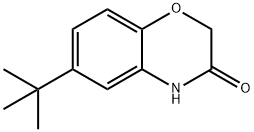6-(叔丁基)-2H-苯并[B][1,4]噁嗪-3(4H)-酮 结构式