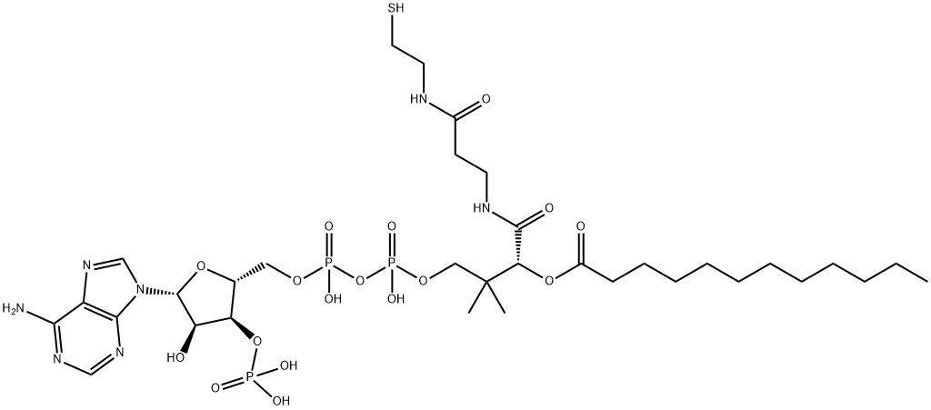 月桂酰辅酶A 结构式