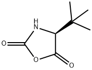 (S)-(-)-4-叔丁基氧氮杂环戊烷-2,5-二酮 结构式