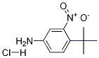 4-叔丁基-3-硝基苯胺盐酸盐 结构式