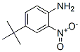 4-TERT-BUTYL-2-NITROANILINE 结构式