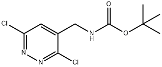 TERT-BUTYL (3,6-DICHLOROPYRIDAZIN-4-YL)METHYLCARBAMATE 结构式