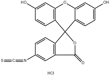 荧光素异硫氰酸酯 结构式