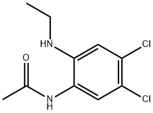 N-[4,5-dichloro-2-(ethylamino)phenyl]acetamide 结构式