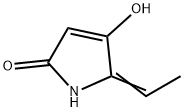 2H-Pyrrol-2-one,5-ethylidene-1,5-dihydro-4-hydroxy-(9CI) 结构式