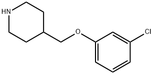 4-[(3-CHLOROPHENOXY)METHYL]PIPERIDINE 结构式