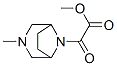 8-(2-Methoxy-1,2-dioxoethyl)-3-methyl-3,8-diazabicyclo[3.2.1]octane 结构式