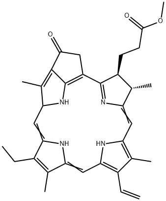 焦脱镁叶绿酸Α甲酯 结构式