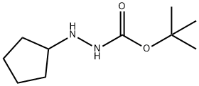 Hydrazinecarboxylic acid, 2-cyclopentyl-, 1,1-dimethylethyl ester (9CI) 结构式