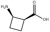 (1S,2R)-2-Aminocyclobutane-1-carboxylic acid 结构式
