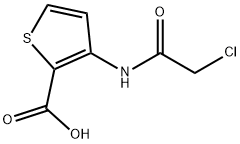 3-[(2-CHLOROACETYL)AMINO]THIOPHENE-2-CARBOXYLIC ACID 结构式