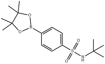 T-BUTYL 4-BORONOBENZENESULFONAMIDE, PINACOL ESTER 结构式