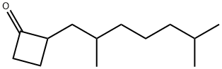 2-(2,6-Dimethylheptyl)cyclobutanone 结构式