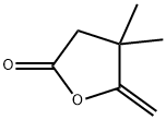 2-亚甲基-3,3-二甲基环丁酯 结构式