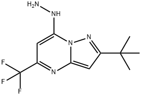 2-(TERT-BUTYL)-7-HYDRAZINO-5-(TRIFLUOROMETHYL)PYRAZOLO[1,5-A]PYRIMIDINE 结构式