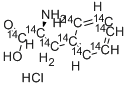 L-PHENYLALANINE-UL-14C 结构式