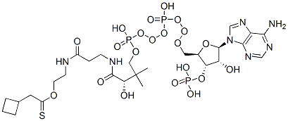 S-[2-[3-[[4-[[[(2R,3S,4R,5R)-5-(6-aminopurin-9-yl)-4-hydroxy-3-phosphonooxyoxolan-2-yl]methoxy-hydroxyphosphoryl]oxy-hydroxyphosphoryl]oxy-2-hydroxy-3,3-dimethylbutanoyl]amino]propanoylamino]ethyl] 2-cyclobutylethanethioate 结构式
